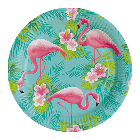 Flamingo Tanjirici