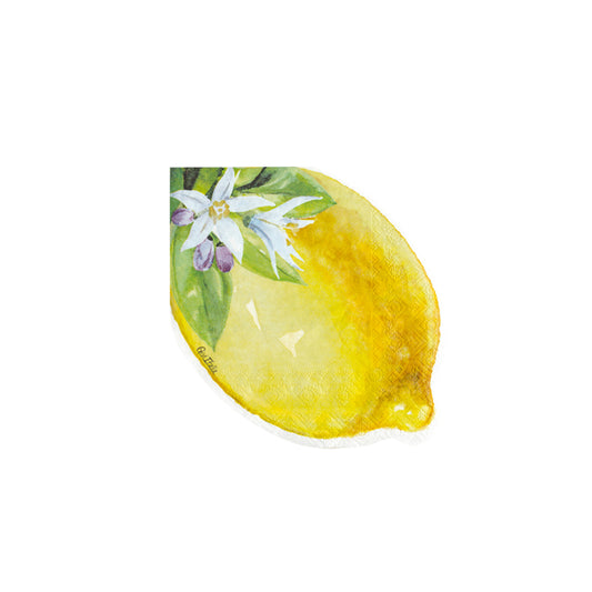 Salvete Limun